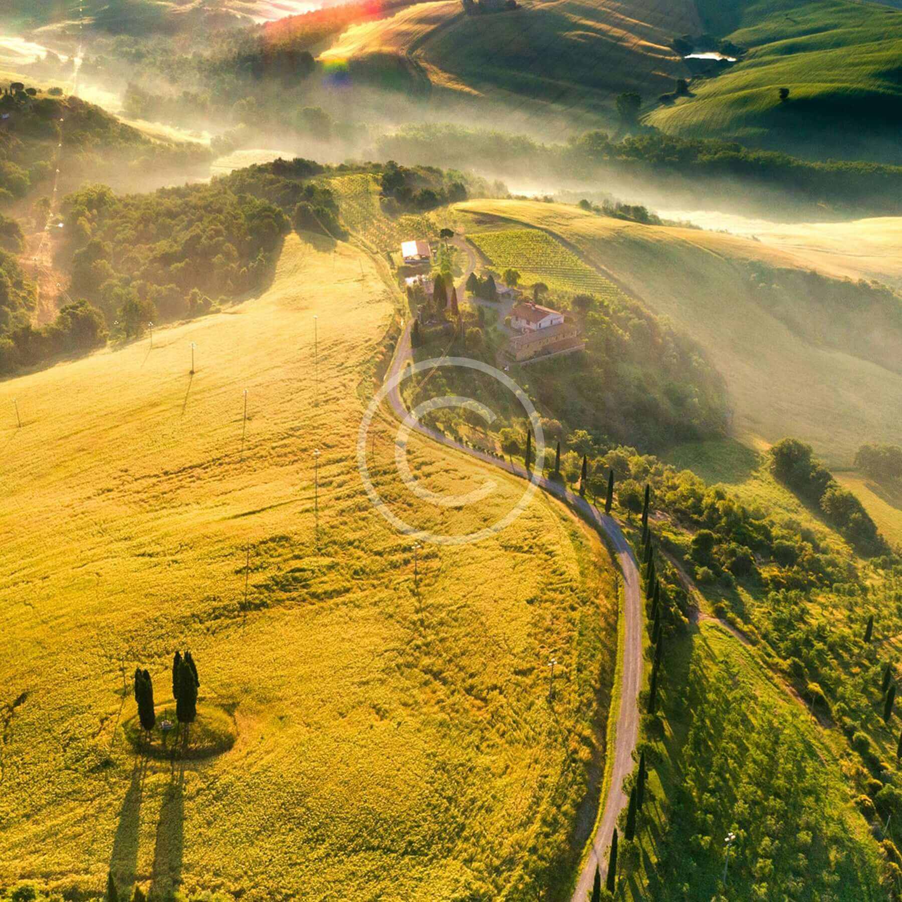 Travel Image Copyright 83