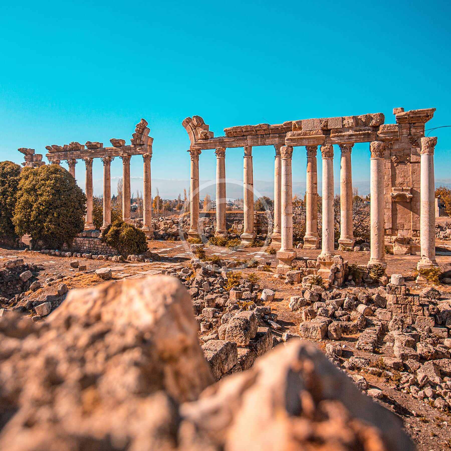 Travel Image Copyright 87